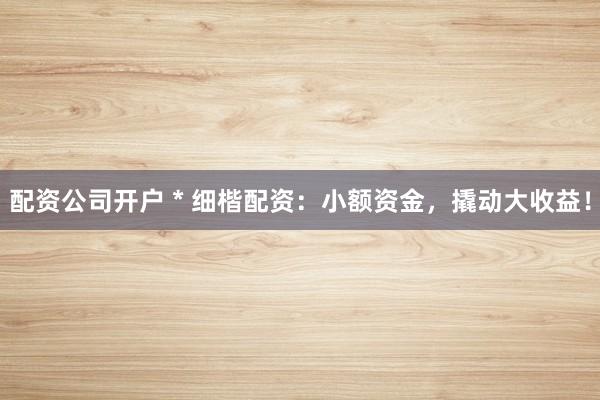 配資公司開戶 * 細楷配資：小額資金，撬動大收益！