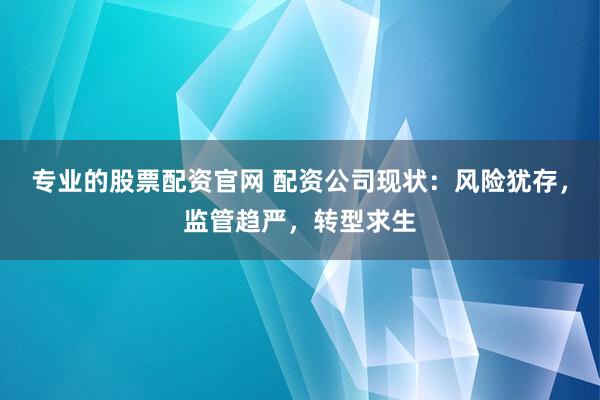 專業(yè)的股票配資官網(wǎng) 配資公司現(xiàn)狀：風(fēng)險(xiǎn)猶存，監(jiān)管趨嚴(yán)，轉(zhuǎn)型求生