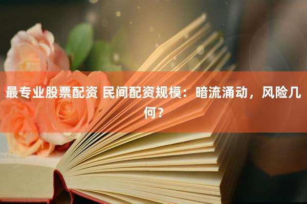 最專業(yè)股票配資 民間配資規(guī)模：暗流涌動，風(fēng)險幾何？