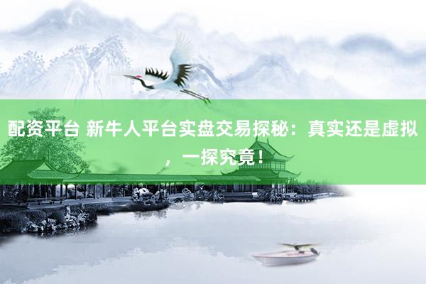 配資平臺(tái) 新牛人平臺(tái)實(shí)盤交易探秘：真實(shí)還是虛擬，一探究竟！