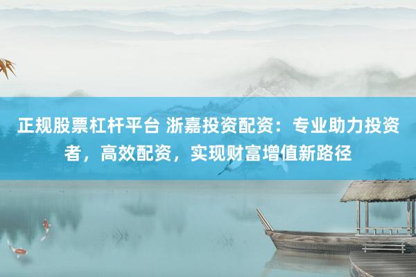 正規(guī)股票杠桿平臺 浙嘉投資配資：專業(yè)助力投資者，高效配資，實(shí)現(xiàn)財(cái)富增值新路徑